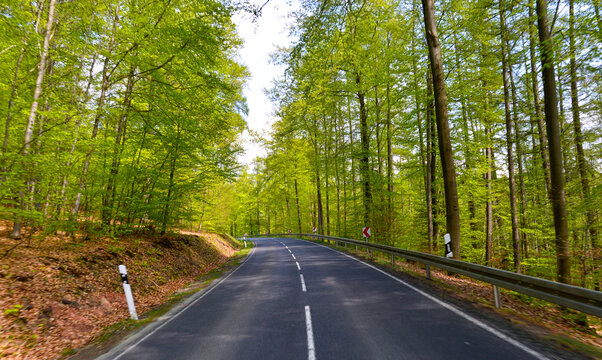 Landstra&szlig;e durch einen fr&uuml;hlingshaften Buchenwald zwischen Breitenborn und Wittgenborn in Hessen, Deutschland