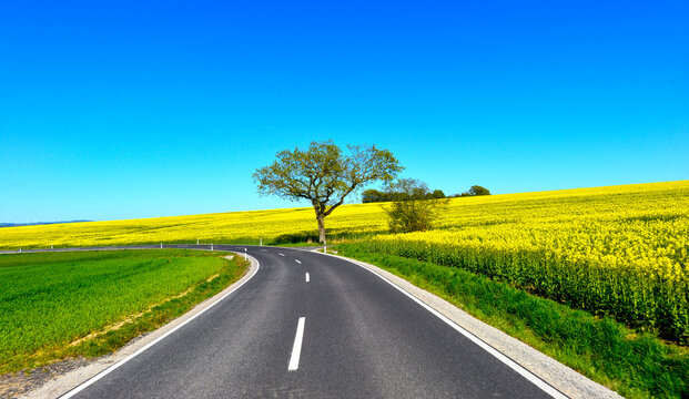 Landstra&szlig;e L3314 vorbei an bl&uuml;henden Rapsfeldern zwischen Wittgenborn und Spielberg in Hessen, Deutschland