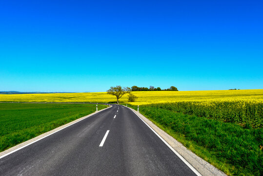 Landstra&szlig;e L3314 vorbei an bl&uuml;henden Rapsfeldern zwischen Wittgenborn und Spielberg in Hessen, Deutschland