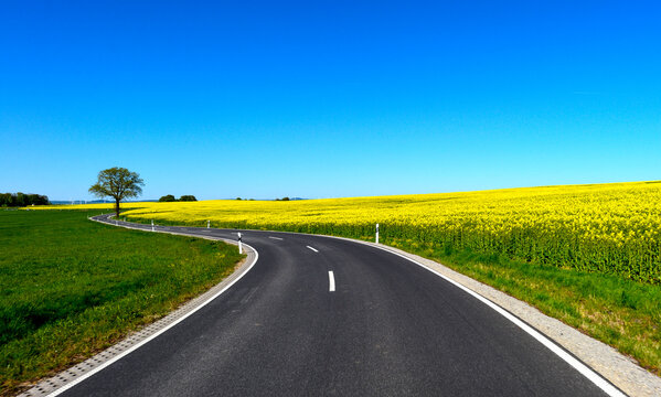 Landstra&szlig;e L3314 vorbei an bl&uuml;henden Rapsfeldern zwischen Wittgenborn und Spielberg in Hessen, Deutschland