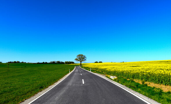 Landstra&szlig;e L3314 vorbei an bl&uuml;henden Rapsfeldern zwischen Wittgenborn und Spielberg in Hessen, Deutschland