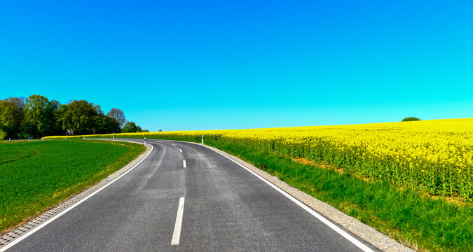 Landstra&szlig;e L3314 vorbei an bl&uuml;henden Rapsfeldern zwischen Wittgenborn und Spielberg in Hessen, Deutschland