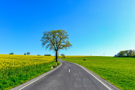 Landstra&szlig;e L3314 vorbei an bl&uuml;henden Rapsfeldern zwischen Spielberg und Wittgenborn in Hessen, Deutschland