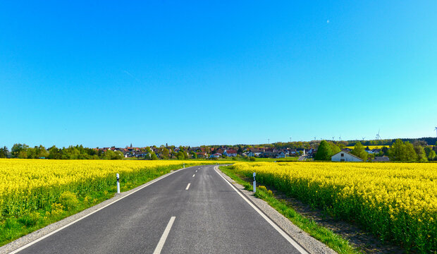 Landstra&szlig;e L3314 vorbei an bl&uuml;henden Rapsfeldern zwischen Spielberg und Wittgenborn in Hessen, Deutschland