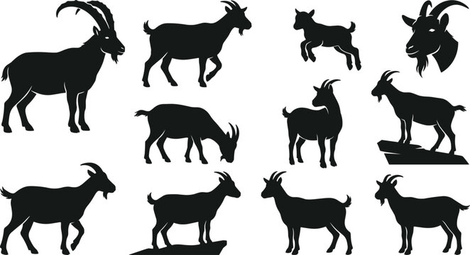 Black Goat Silhouette Vector Illustration Set with Ibex Ram Billy Nanny Kid and Head Portrait for Farm Wildlife and Laser Cutting Craft Designs