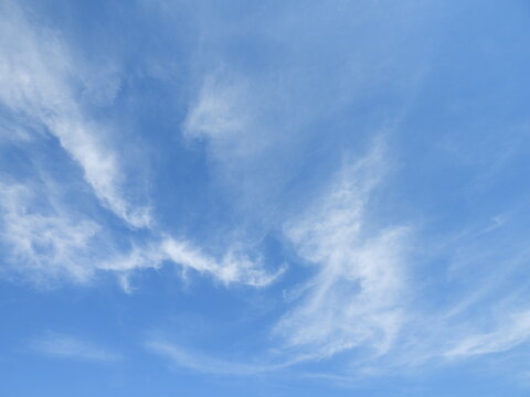 Wispy, feathery, white,cirrus clouds in a blue sky. Cloudscape over Worcester County, Maryland.