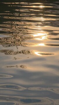 Water reflects sunlight at a river during the late afternoon in a quiet location