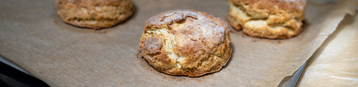 Homemade biscuits hot and fresh out of the oven, on parchment paper and baking sheet, hand crafted delicious food treat
