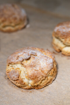 Homemade biscuits hot and fresh out of the oven, on parchment paper and baking sheet, hand crafted delicious food treat
