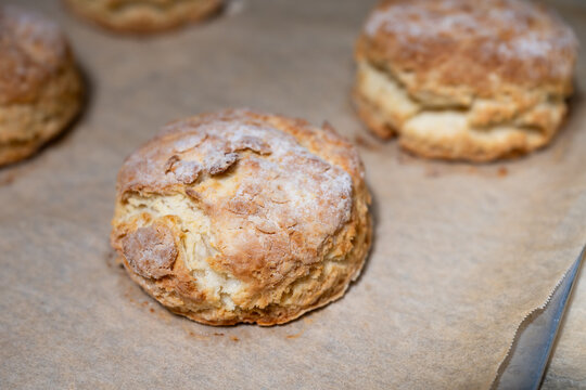 Homemade biscuits hot and fresh out of the oven, on parchment paper and baking sheet, hand crafted delicious food treat
