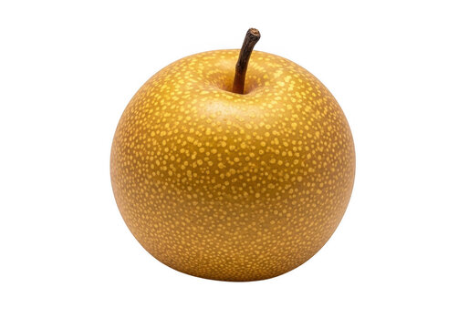 Fresh round asian pear fruit with a textured golden skin isolated on a clean simple surface