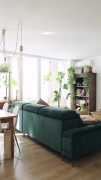 Modern and stylish living room interior with a large green velvet sofa. Comfortable apartment filled with natural light and many plants