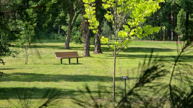 bench in the park
