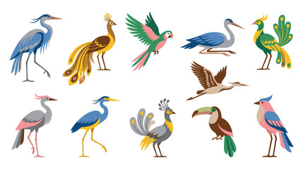 Fototapeta premium Collection of tropical birds and exotic avian species.