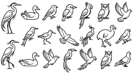 Set of black and white bird icons isolated on white bg. © NAZMA