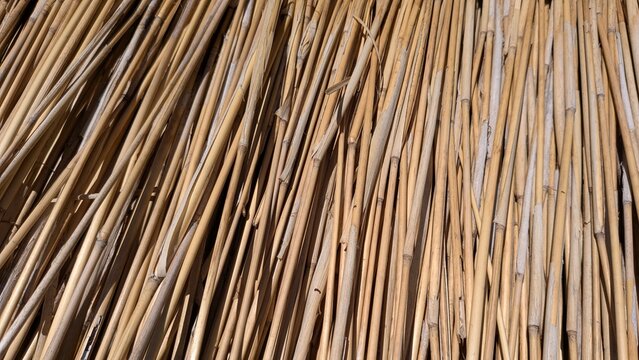 Dry reed stems close up, natural thatch texture with diagonal lines, beige straw background