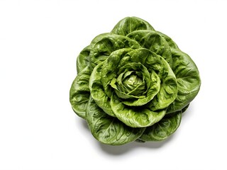Obraz premium Fresh green lettuce head for cooking and food packaging, isolated on white background
