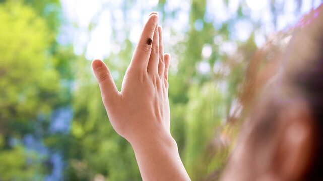A small red ladybug insect crawling on a human hand and finger. Gentle outdoor nature scene in spring or summer with a blurred green macro background. High quality 4k footage