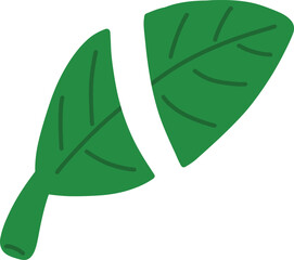 Split Green Leaves Isolated  © Piko
