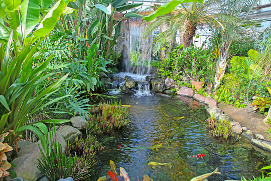 Koa Pond