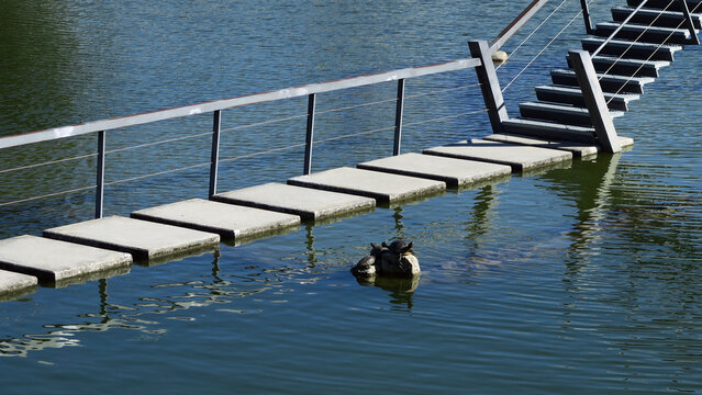 Jardim do Lago, Covilh&atilde;, Portugal. it is the largest green space in the city and its reference point is the large water mirror.