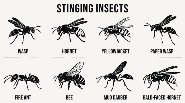 Stinging Insect Silhouette Vector Illustration Icon Set with Wasp, Hornet, Yellowjacket, Bee and Fire Ant Collection