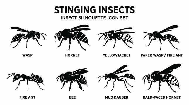 Stinging Insect Vector Illustration Icon Set with Wasp, Hornet, Bee and Ant Silhouette Collection
