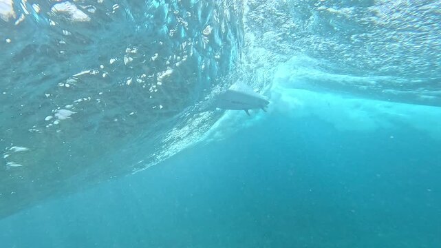 SLOW MOTION, UNDERWATER: Breaking turquoise wave as a surfer glides overhead in the Mentawai Islands. Bubbles, light and action in a dramatic tropical surf scene in remote West Sumatra, Indonesia.