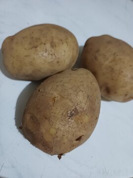 Three whole unpeeled potatoes resting on smooth white flat surface. Food concept
