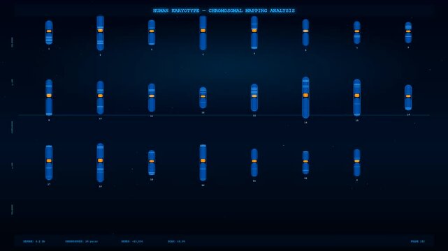 This digital sequence of a bioinformatics genome analysis displays a scanning motion across a human karyotype with glowing blue chromosomes on a dark scientific screen interface.