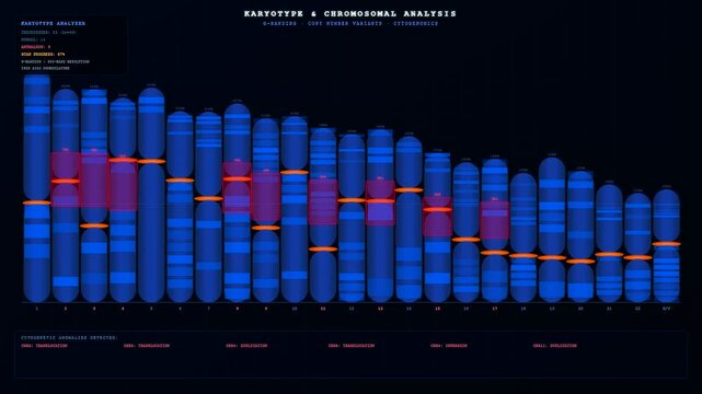 This digital video showing a complex bioinformatics genome analysis visualizes chromosomal patterns as highlighted red areas scan across the genetic map of a human subject.