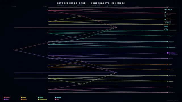 Digital bioinformatics genome analysis displays complex phylogenetic trees on dark interface screens showing evolutionary links between species using interconnected bright neon lines