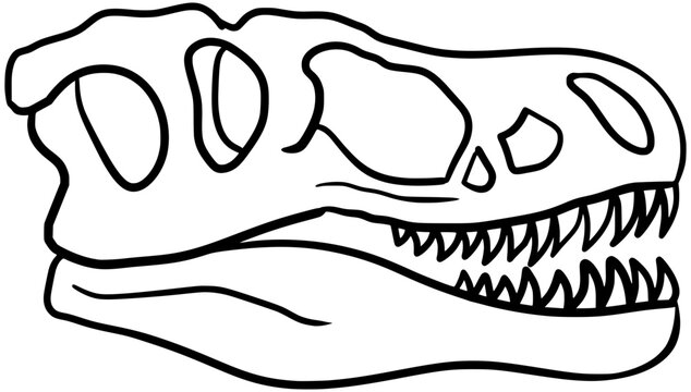 Albertosaurus Skull Fossil Dinosaur Vector Outline Line Art Drawing