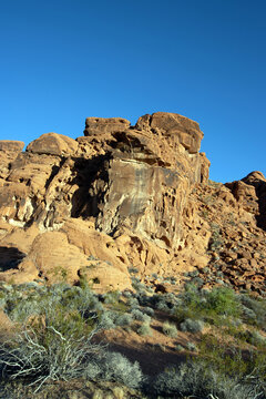 Vertical panorama of a red Aztec sandstone formation and native desert plants at Valley of Fire State Park in Nevada