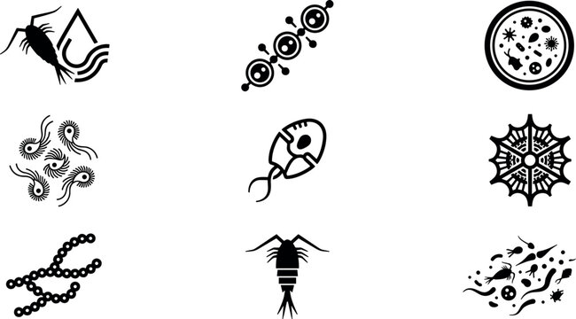 Microscopic Water Biology and Plankton Solid Icon Vector Set Featuring Bacteria, Zooplankton, Petri Dish Culture, Microorganisms, and Aquatic Cells