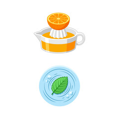 Fresh Orange Juice Squeezer and Refreshing Mint Leaf in Cool Water Icons Set © Zseoo Studio