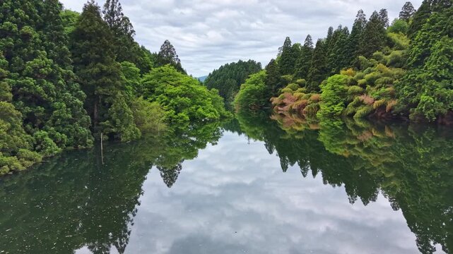 ドローンで撮る日本の風景　神秘的な水没林を抜ける美しい水鏡の空撮映像　癒し リラクゼーション