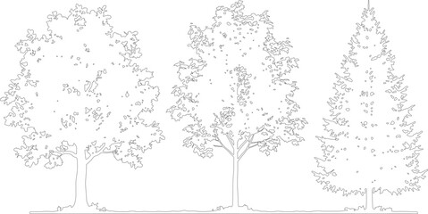 Set of various tree silhouettes for architectural landscape design © Joyonto