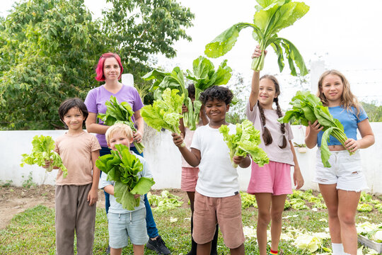 Female school teacher and diverse children harvesting fresh organic vegetables from school garden promoting agricultural education healthy eating sustainability teamwork and hands on learning