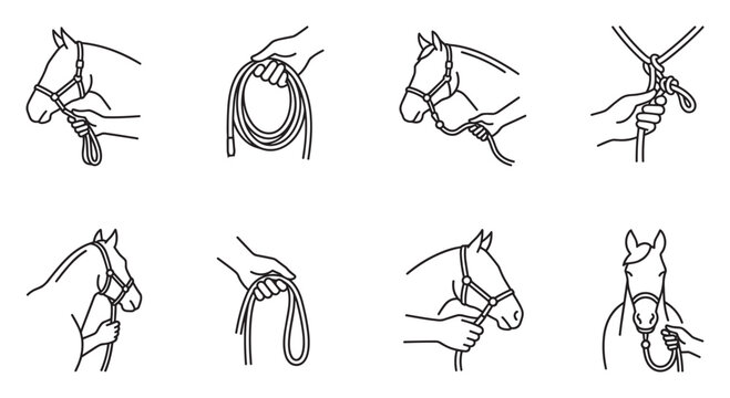 Horse bridle and reins set headgear for equestrian training and riding safety accessories.