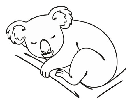 Koala sleeping peacefully vector line art. Generative AI