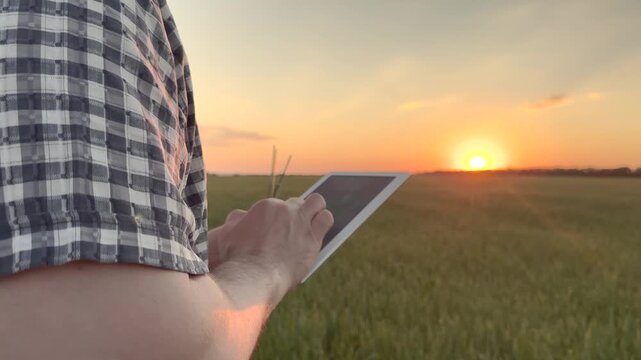 Man farmer holding tablet in agricultural field at sunset. Businessman man using tablet gadget to monitor wheat crops in farm field analyzes growth health trouble-free harvest. Male farmer with tablet