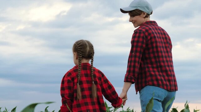 Mother agronomist talks to child holding hands on corn plantation. Mom agronomist shares moments with girl wandering on field. Daughter spends holidays with mum farmer in corn field under cloudy sky
