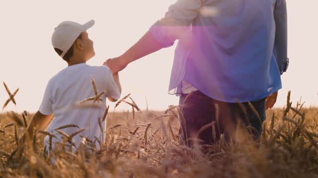 Happy boy kid with father holding hands walking at sunlight dry wheat field back view closeup. Family male parent and child son relaxing enjoy freedom discovery outdoor leisure activity together