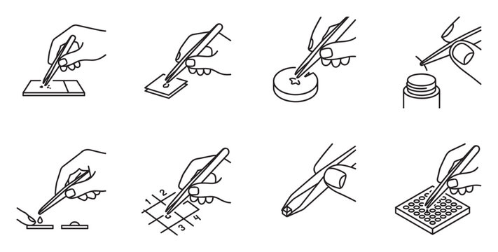 Hands using tweezers to place and move tiny objects on slides and microplates.