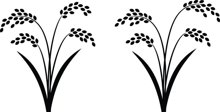 Rice stalk silhouette vector icon set organic paddy agriculture plant ear of wheat grain cereal design element for farming food brand logo packaging decoration