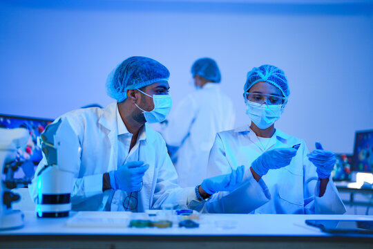 Science colleagues diligently work together at the research microscope in a futuristic biolab as part of advanced scientific research using modern laboratory equipment.