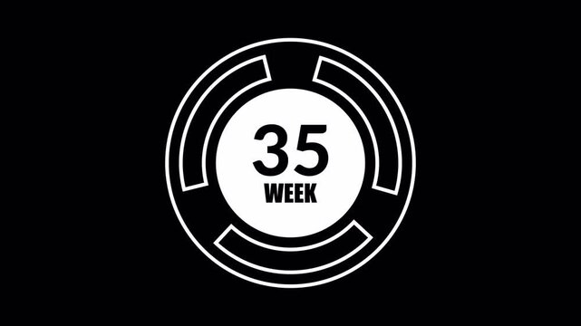 White segmented circular 52 week countdown appears on black for annual planning.