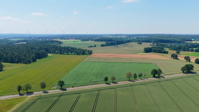 Aerial top view on green crop field. Nature environment. Green harvest in field. Summer green field. Agricultural aerial landscape. Green crop agricultural farm landscape. Harvesting and cultivation