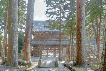 山梨県身延町にある身延山久遠寺の参道を囲む巨木な杉並木と、その先に佇む荘厳な三門の風景/Stately Sanmon Gate Viewed Through Towering Cedar Trees on the Approach to Minobusan Kuonji Temple © Taketo Miyajima